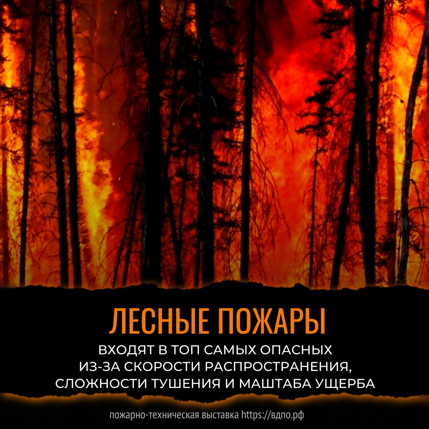 Почему лесные пожары входят в топ самых опасных  Лесной пожар — это одна из самых опасных и страшных стихий. Каждый год от......