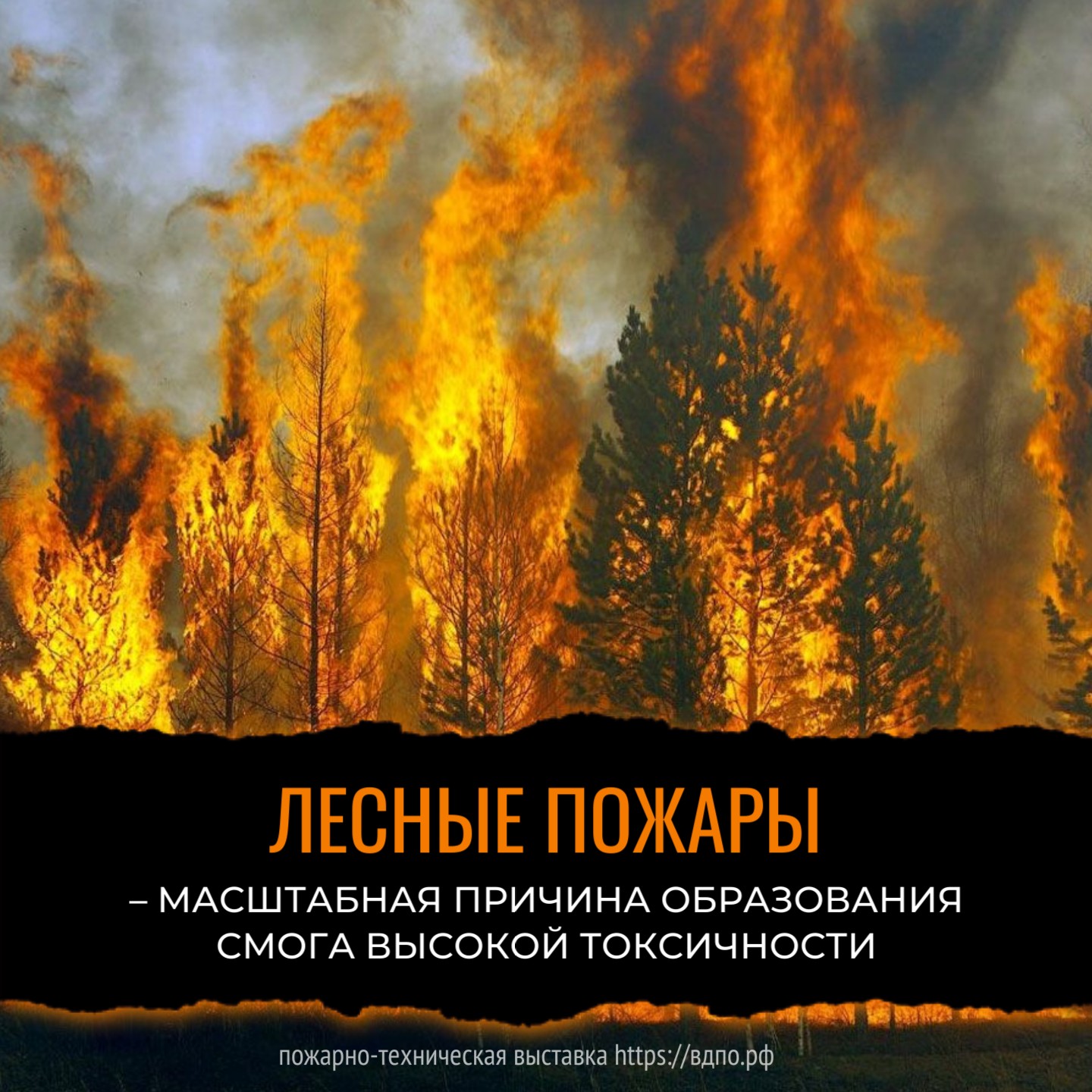 Лесные пожары порождают крайне токсичный вид смога    Смог — это явление, вызванное загрязнением воздуха. Английский термин smog, образованный......