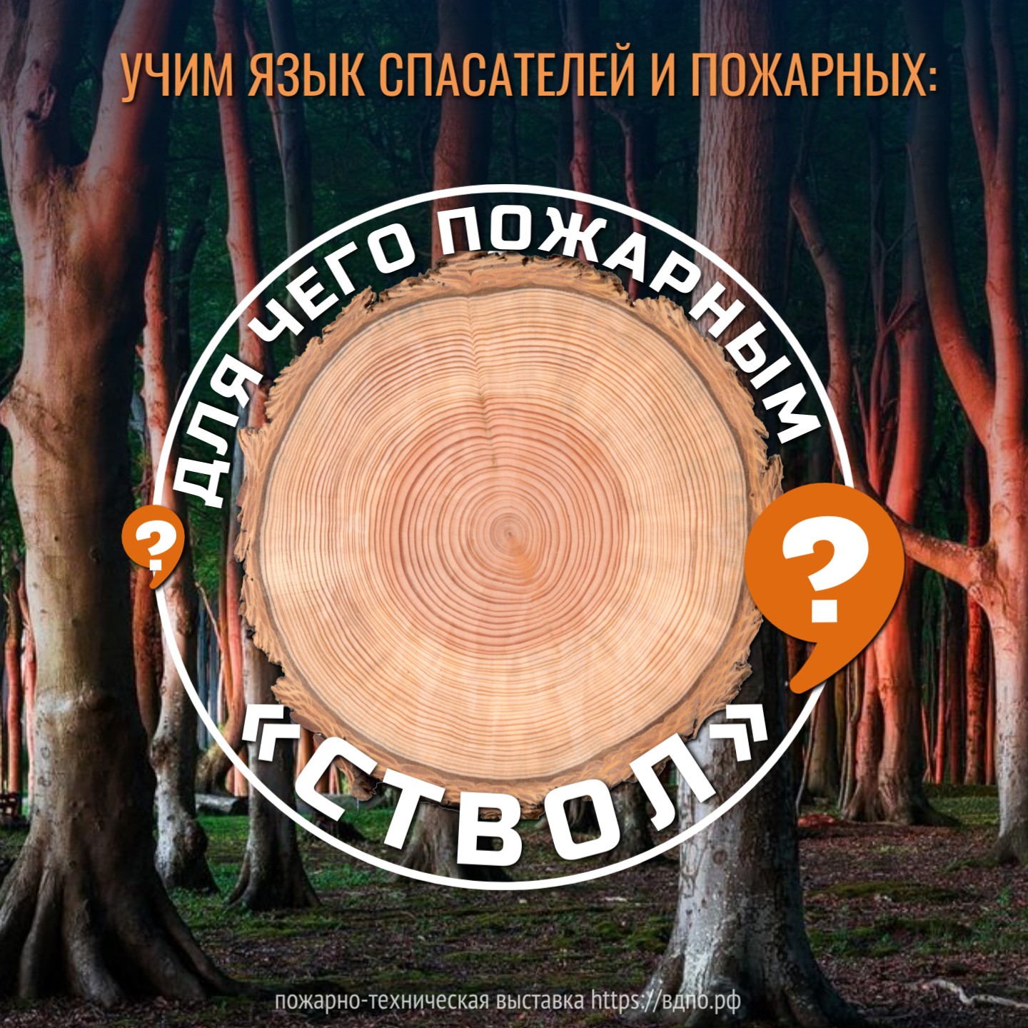 Зачем пожарные используют ствол?  Во время тушения огня пожарный держится за  ствол  (нет, не дерева). Таким образом спасатель......