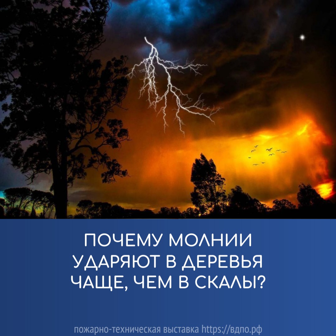 Почему молнии ударяют в деревья чаще, чем в скалы?  Французский научно-популярный журнал «Сьянс э ви» («Наука и жизнь») на......